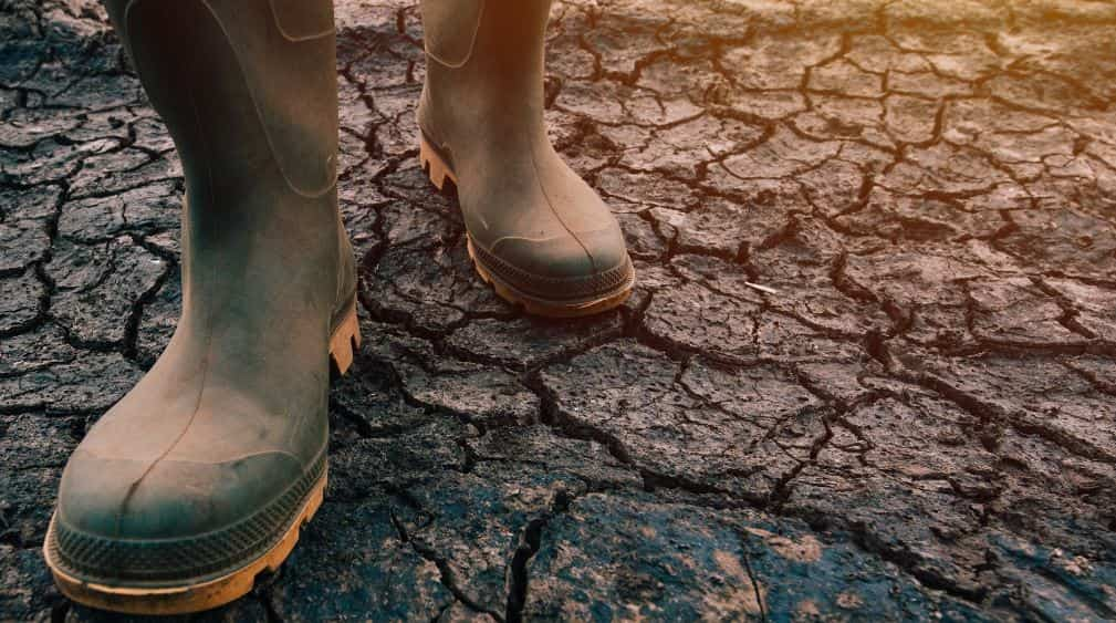 La participación sindical, clave para garantizar la justicia social en las políticas climáticas