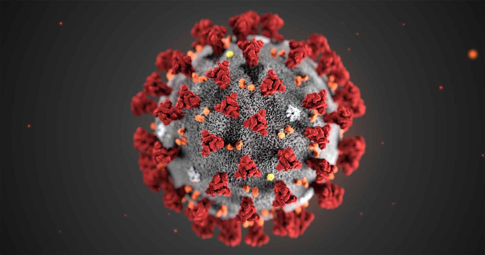 Sanidad publica un protocolo frente al coronavirus para los Servicios de Prevención